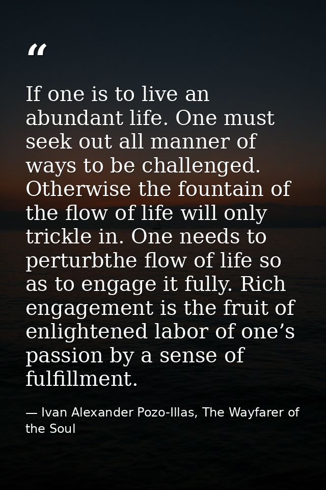 If one is to live an abundant life. One must seek out all manner of ways to be challenged. Otherwise the fountain of the — Ivan Alexander Pozo-Illas, The Wayfarer of the Soul