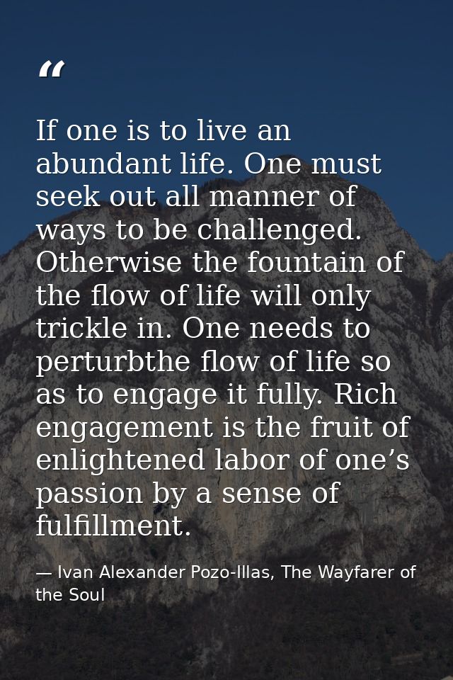 If one is to live an abundant life. One must seek out all manner of ways to be challenged. Otherwise the fountain of the — Ivan Alexander Pozo-Illas, The Wayfarer of the Soul