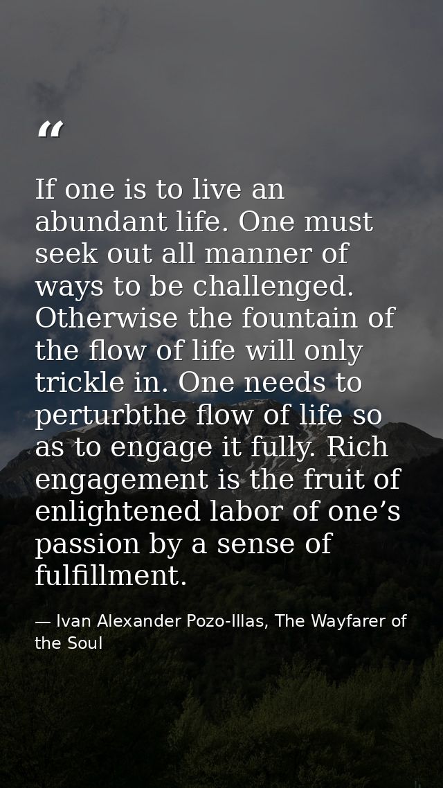 If one is to live an abundant life. One must seek out all manner of ways to be challenged. Otherwise the fountain of the — Ivan Alexander Pozo-Illas, The Wayfarer of the Soul