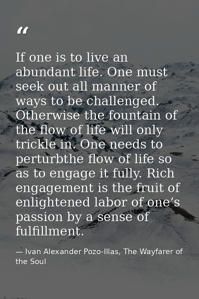 If one is to live an abundant life. One must seek out all manner of ways to be challenged. Otherwise the fountain of the — Ivan Alexander Pozo-Illas, The Wayfarer of the Soul