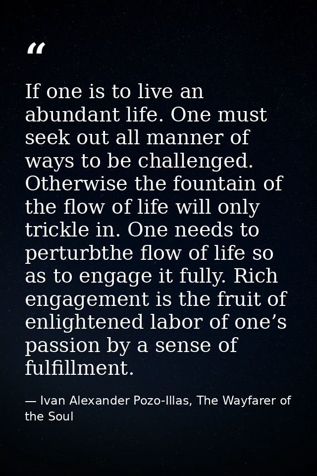 If one is to live an abundant life. One must seek out all manner of ways to be challenged. Otherwise the fountain of the — Ivan Alexander Pozo-Illas, The Wayfarer of the Soul