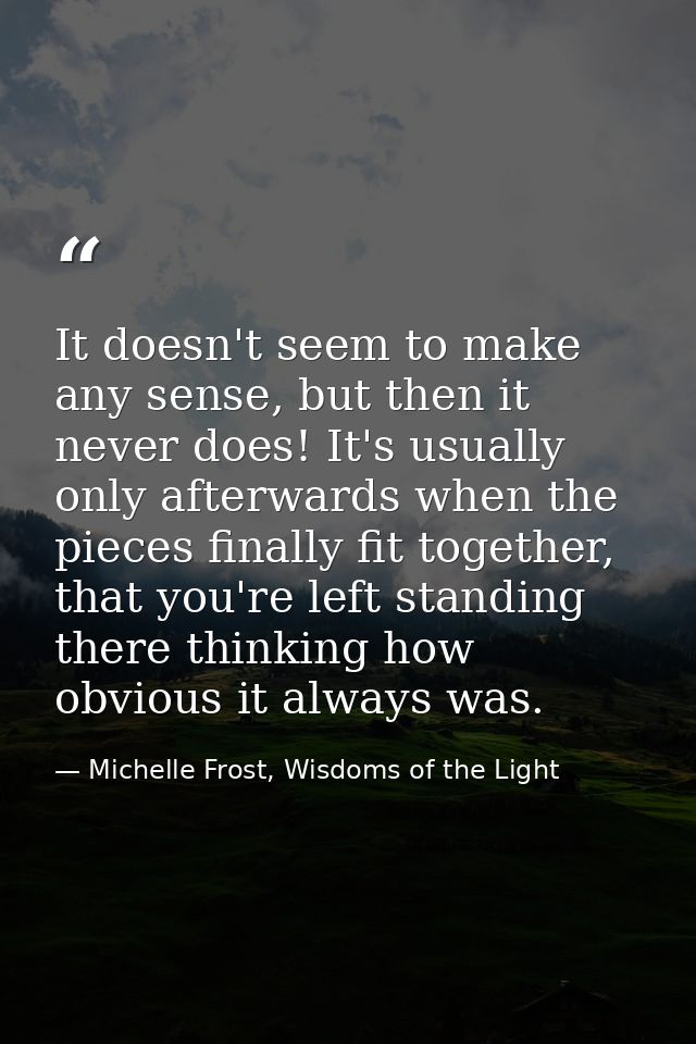 It doesn't seem to make any sense, but then it never does! It's usually only afterwards when the pieces finally fit toge — Michelle Frost, Wisdoms of the Light