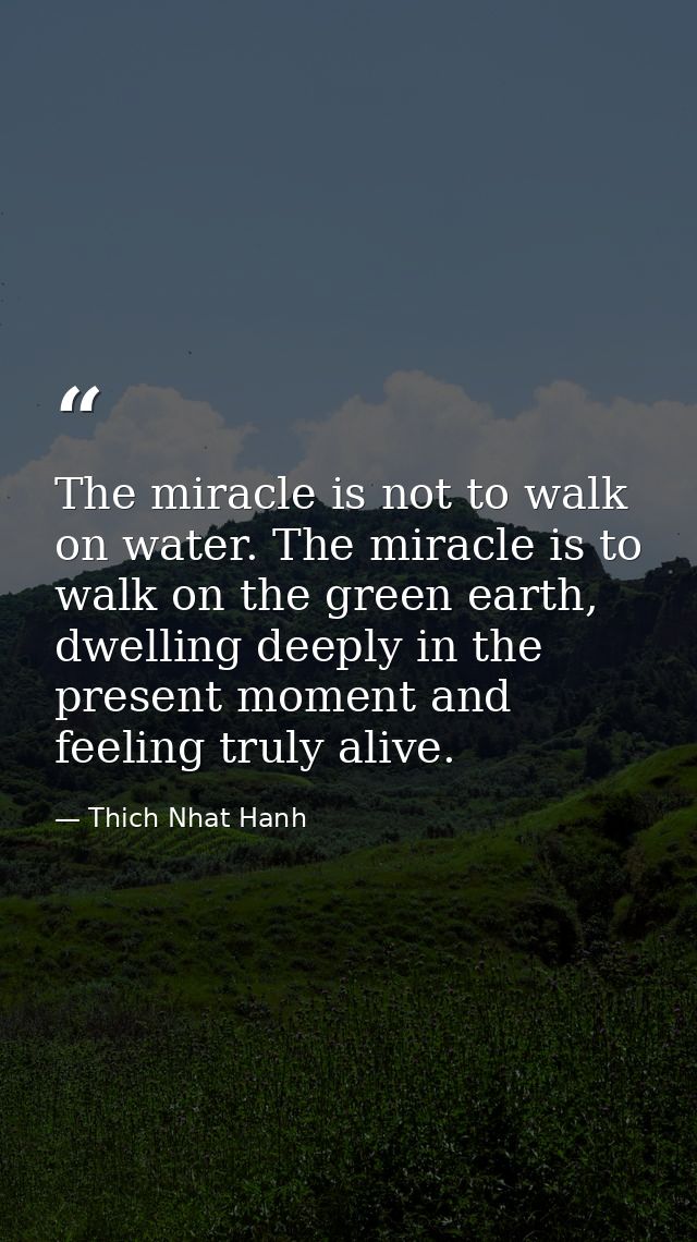 The miracle is not to walk on water. The miracle is to walk on the green earth, dwelling deeply in the present moment an — Thich Nhat Hanh
