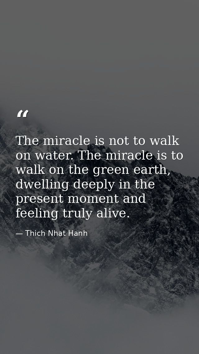The miracle is not to walk on water. The miracle is to walk on the green earth, dwelling deeply in the present moment an — Thich Nhat Hanh