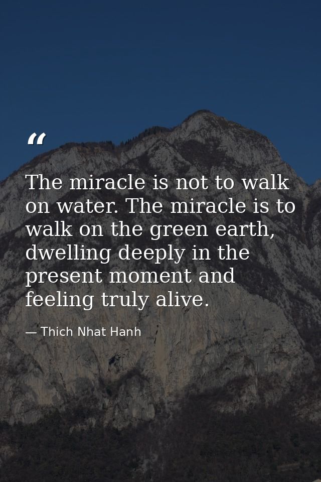 The miracle is not to walk on water. The miracle is to walk on the green earth, dwelling deeply in the present moment an — Thich Nhat Hanh
