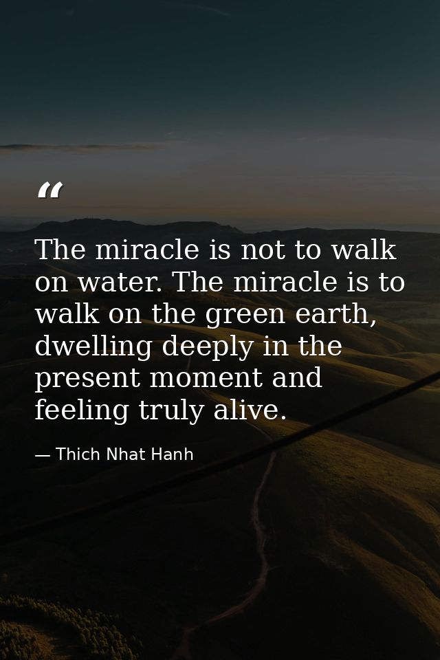 The miracle is not to walk on water. The miracle is to walk on the green earth, dwelling deeply in the present moment an — Thich Nhat Hanh
