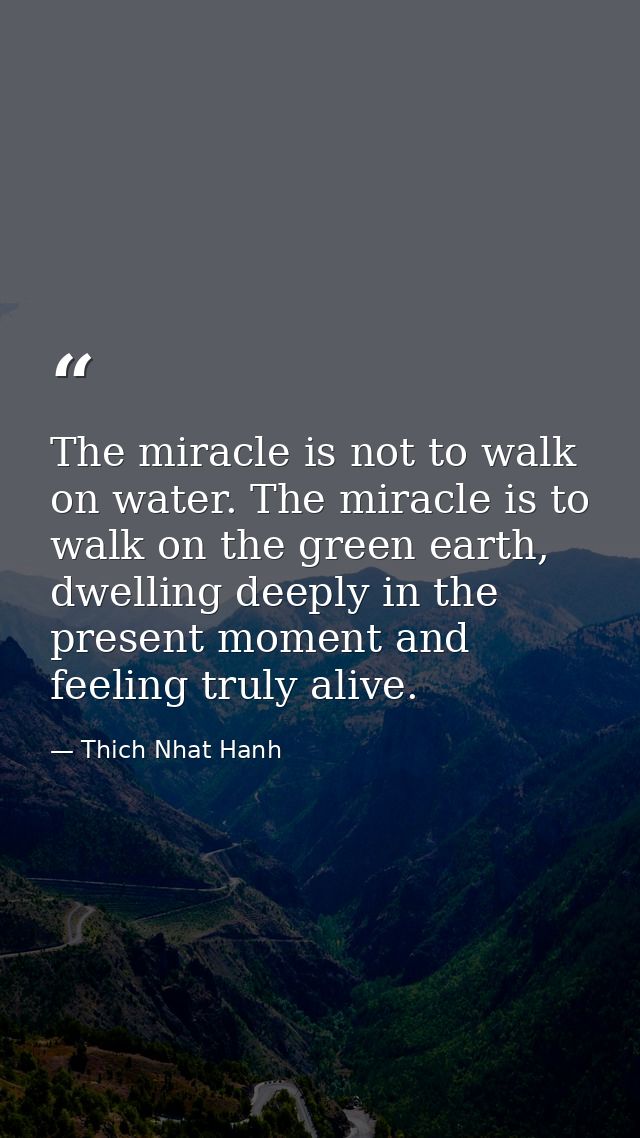 The miracle is not to walk on water. The miracle is to walk on the green earth, dwelling deeply in the present moment an — Thich Nhat Hanh
