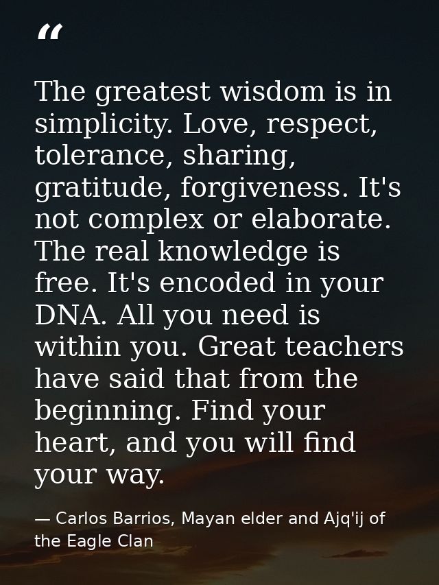 The greatest wisdom is in simplicity. Love, respect, tolerance, sharing, gratitude, forgiveness. It's not complex or ela — Carlos Barrios, Mayan elder and Ajq'ij of the Eagle Clan