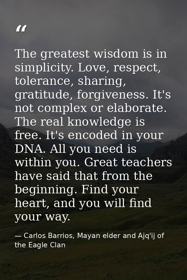 The greatest wisdom is in simplicity. Love, respect, tolerance, sharing, gratitude, forgiveness. It's not complex or ela — Carlos Barrios, Mayan elder and Ajq'ij of the Eagle Clan