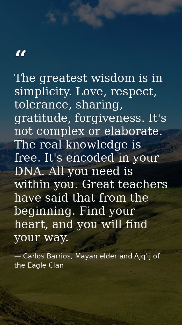The greatest wisdom is in simplicity. Love, respect, tolerance, sharing, gratitude, forgiveness. It's not complex or ela — Carlos Barrios, Mayan elder and Ajq'ij of the Eagle Clan