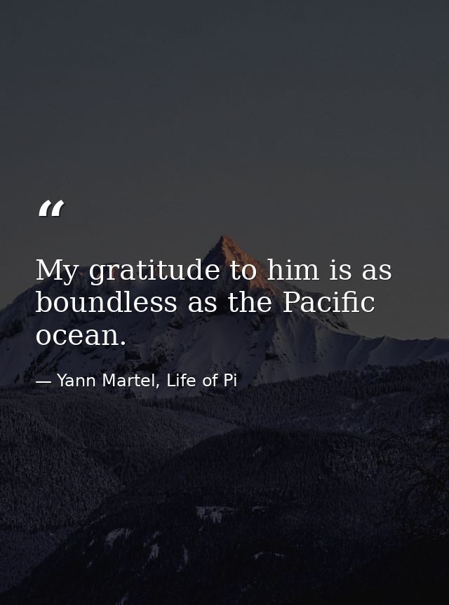 My gratitude to him is as boundless as the Pacific ocean. — Yann Martel, Life of Pi