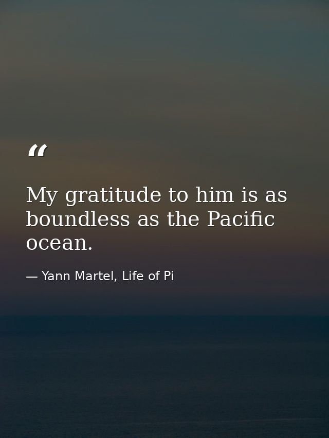 My gratitude to him is as boundless as the Pacific ocean. — Yann Martel, Life of Pi
