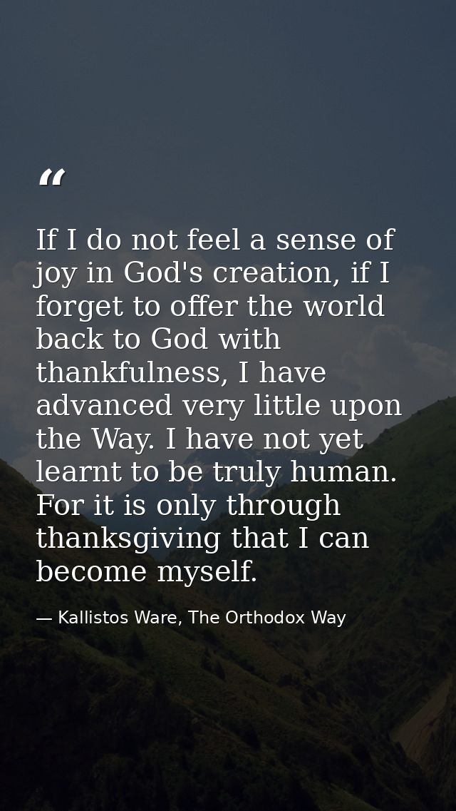 If I do not feel a sense of joy in God's creation, if I forget to offer the world back to God with thankfulness, I have  — Kallistos Ware, The Orthodox Way
