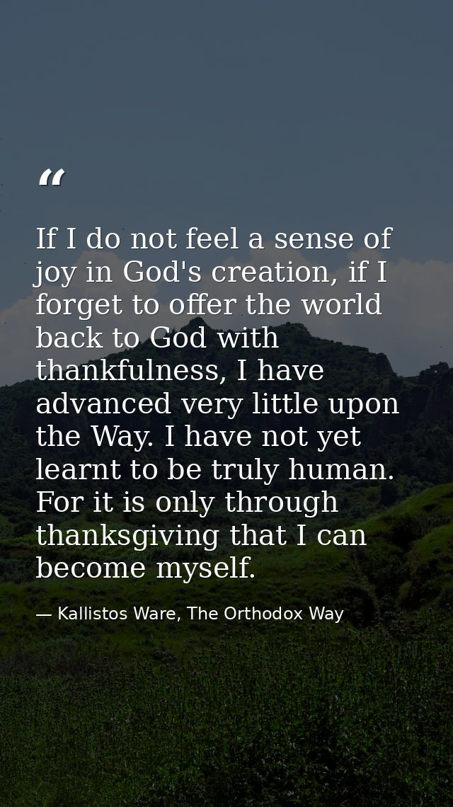 If I do not feel a sense of joy in God's creation, if I forget to offer the world back to God with thankfulness, I have  — Kallistos Ware, The Orthodox Way