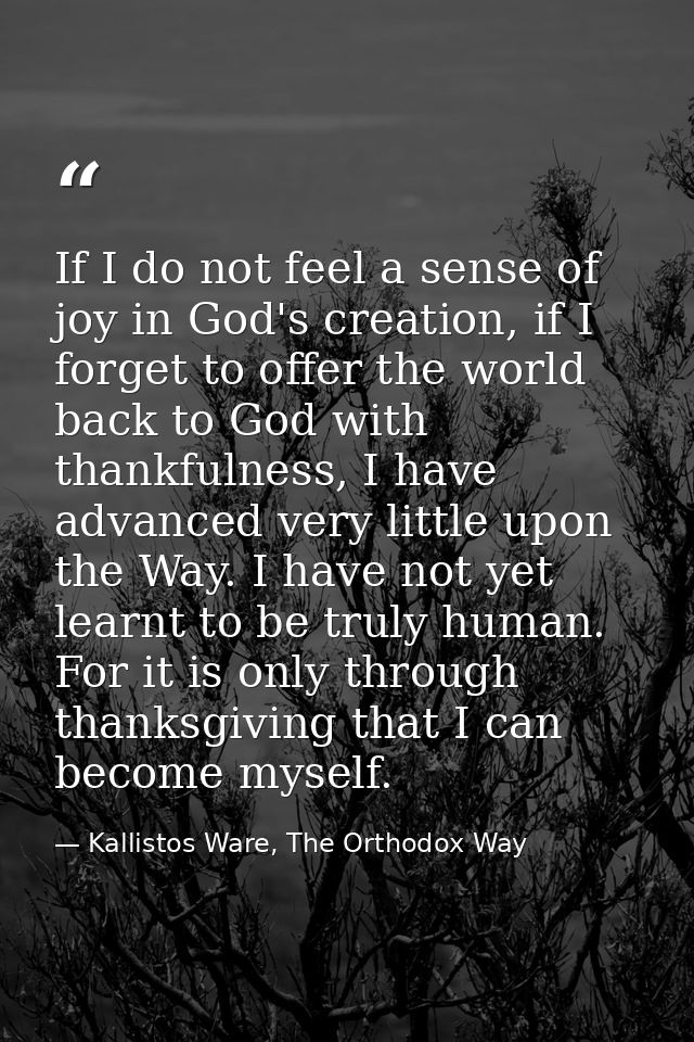 If I do not feel a sense of joy in God's creation, if I forget to offer the world back to God with thankfulness, I have  — Kallistos Ware, The Orthodox Way
