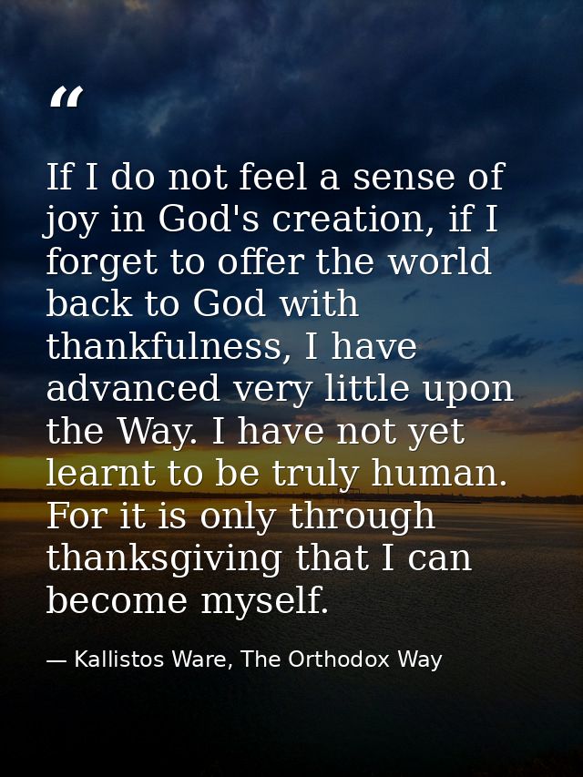 If I do not feel a sense of joy in God's creation, if I forget to offer the world back to God with thankfulness, I have  — Kallistos Ware, The Orthodox Way