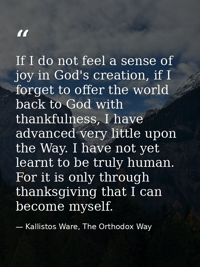 If I do not feel a sense of joy in God's creation, if I forget to offer the world back to God with thankfulness, I have  — Kallistos Ware, The Orthodox Way