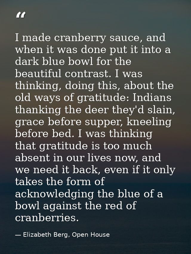 I made cranberry sauce, and when it was done put it into a dark blue bowl for the beautiful contrast. I was thinking, do — Elizabeth Berg, Open House