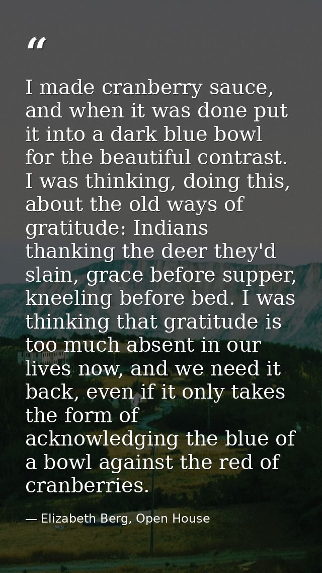 I made cranberry sauce, and when it was done put it into a dark blue bowl for the beautiful contrast. I was thinking, do — Elizabeth Berg, Open House