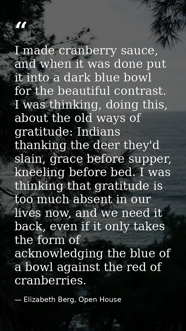 I made cranberry sauce, and when it was done put it into a dark blue bowl for the beautiful contrast. I was thinking, do — Elizabeth Berg, Open House