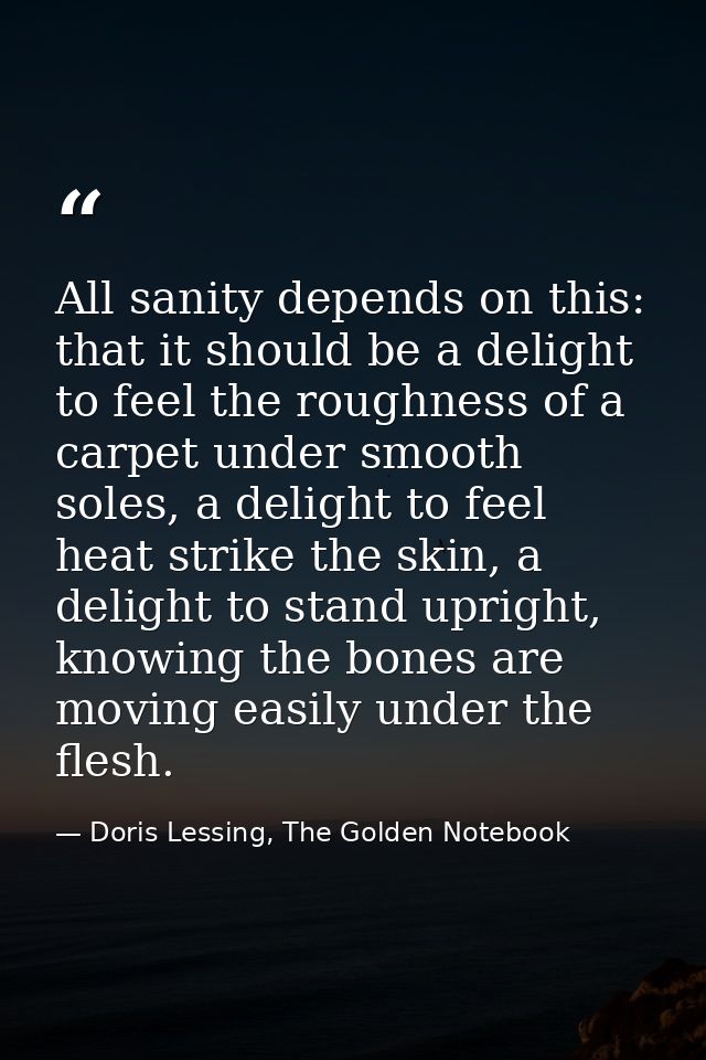All sanity depends on this: that it should be a delight to feel the roughness of a carpet under smooth soles, a delight  — Doris Lessing, The Golden Notebook