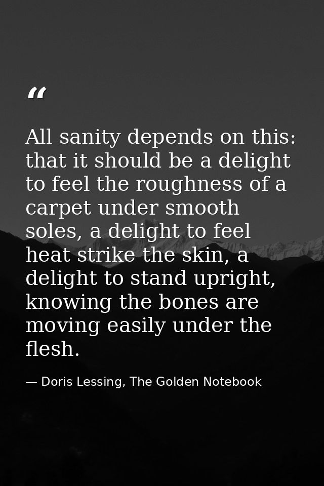 All sanity depends on this: that it should be a delight to feel the roughness of a carpet under smooth soles, a delight  — Doris Lessing, The Golden Notebook