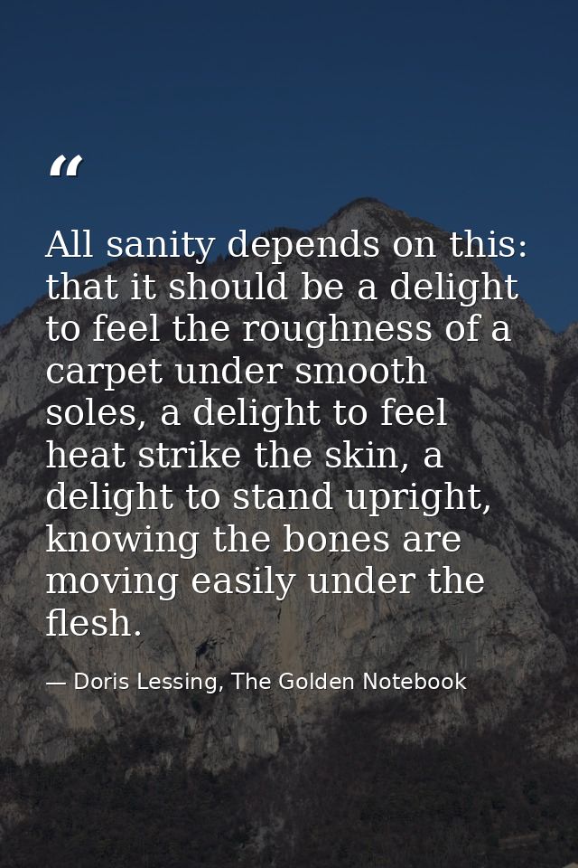 All sanity depends on this: that it should be a delight to feel the roughness of a carpet under smooth soles, a delight  — Doris Lessing, The Golden Notebook