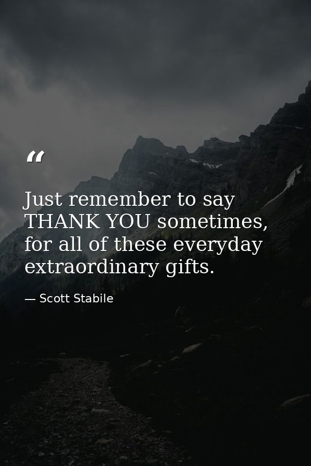 Just remember to say THANK YOU sometimes, for all of these everyday extraordinary gifts. — Scott Stabile