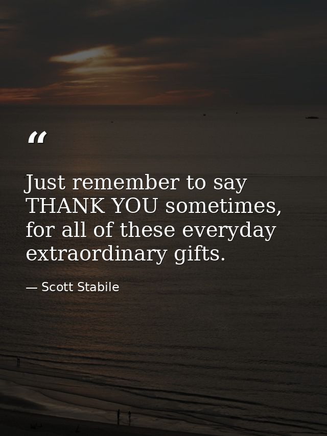 Just remember to say THANK YOU sometimes, for all of these everyday extraordinary gifts. — Scott Stabile