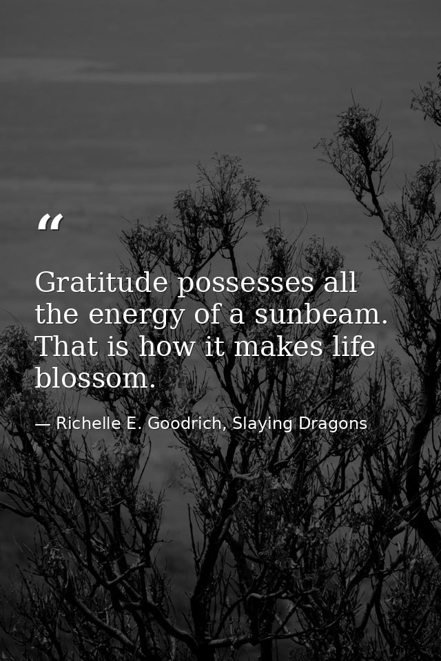 Gratitude possesses all the energy of a sunbeam. That is how it makes life blossom. — Richelle E. Goodrich, Slaying Dragons