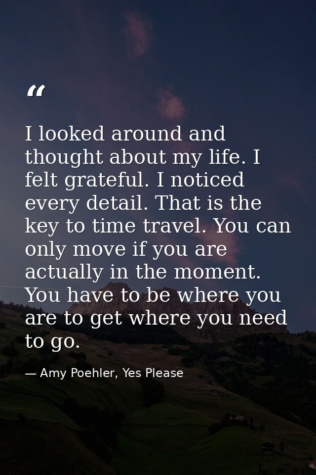 I looked around and thought about my life. I felt grateful. I noticed every detail. That is the key to time travel. You  — Amy Poehler, Yes Please