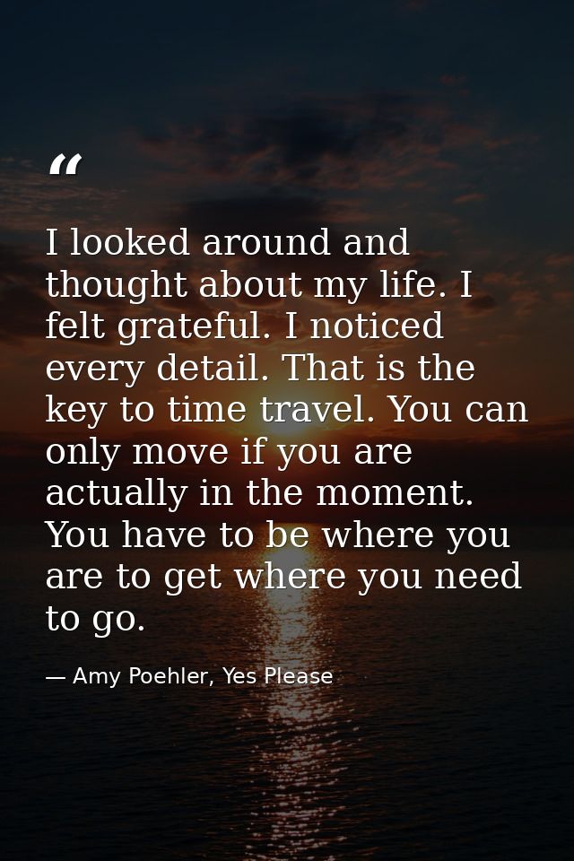 I looked around and thought about my life. I felt grateful. I noticed every detail. That is the key to time travel. You  — Amy Poehler, Yes Please