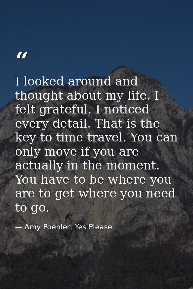 I looked around and thought about my life. I felt grateful. I noticed every detail. That is the key to time travel. You  — Amy Poehler, Yes Please