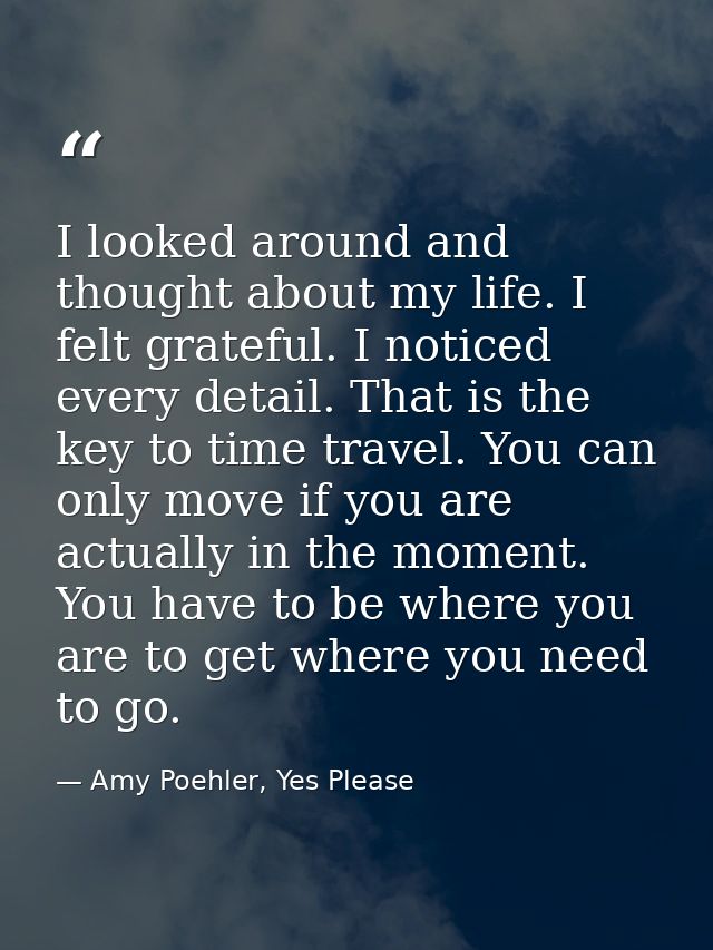 I looked around and thought about my life. I felt grateful. I noticed every detail. That is the key to time travel. You  — Amy Poehler, Yes Please