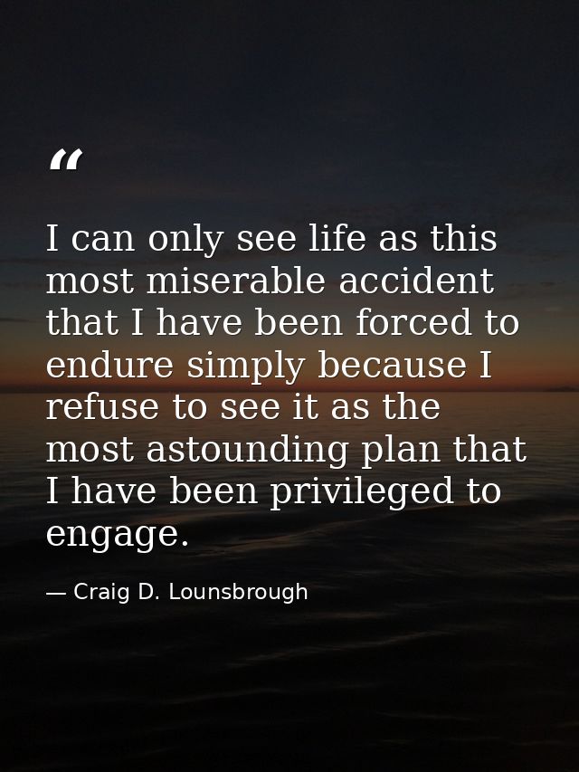 I can only see life as this most miserable accident that I have been forced to endure simply because I refuse to see it  — Craig D. Lounsbrough