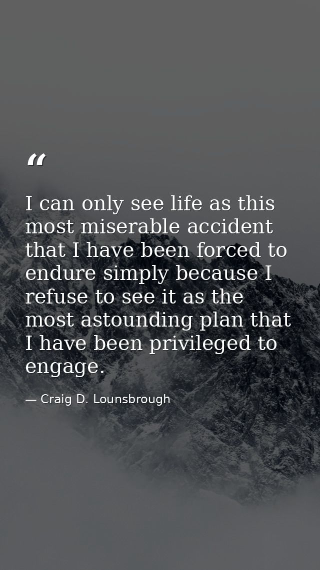 I can only see life as this most miserable accident that I have been forced to endure simply because I refuse to see it  — Craig D. Lounsbrough