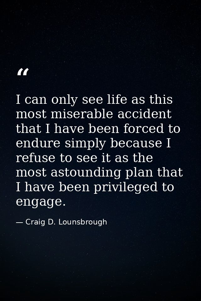 I can only see life as this most miserable accident that I have been forced to endure simply because I refuse to see it  — Craig D. Lounsbrough