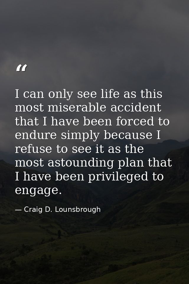 I can only see life as this most miserable accident that I have been forced to endure simply because I refuse to see it  — Craig D. Lounsbrough