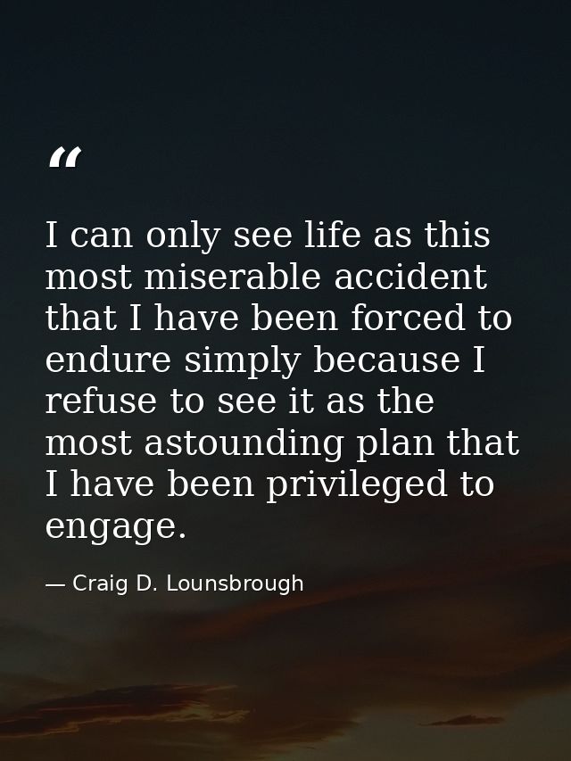 I can only see life as this most miserable accident that I have been forced to endure simply because I refuse to see it  — Craig D. Lounsbrough
