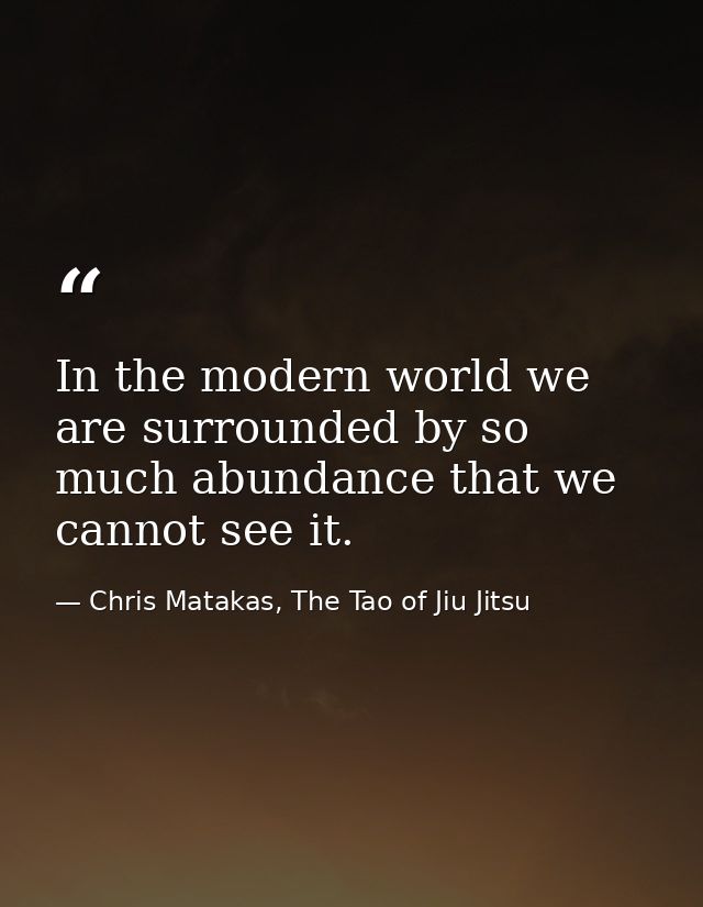 In the modern world we are surrounded by so much abundance that we cannot see it. — Chris Matakas, The Tao of Jiu Jitsu