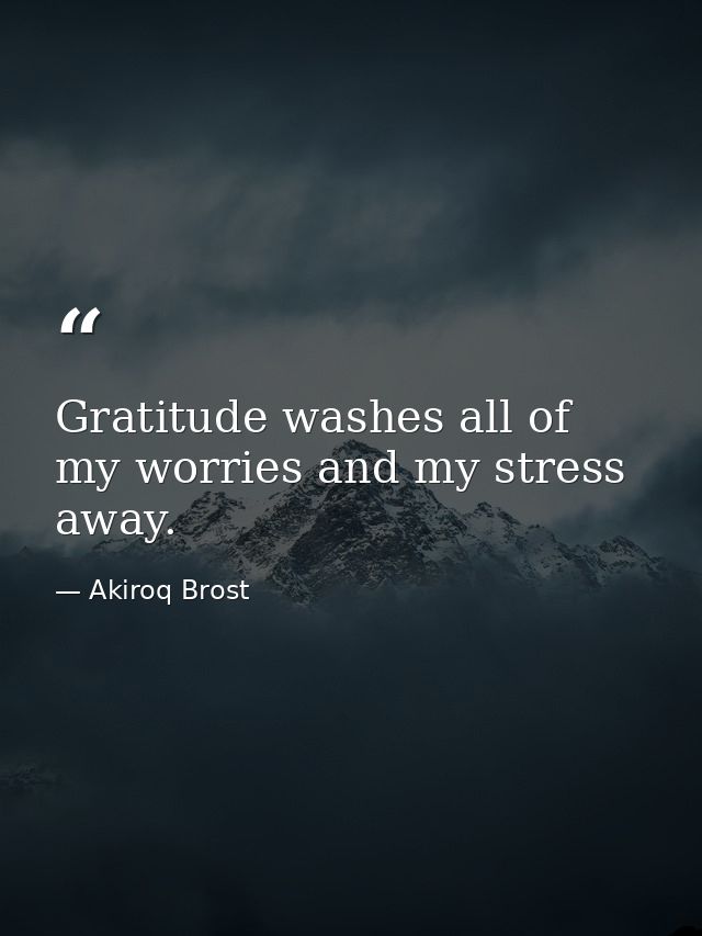Gratitude washes all of my worries and my stress away. — Akiroq Brost