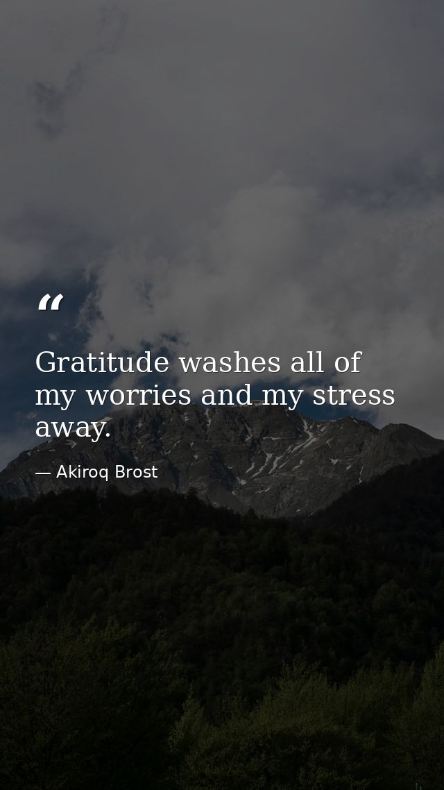 Gratitude washes all of my worries and my stress away. — Akiroq Brost