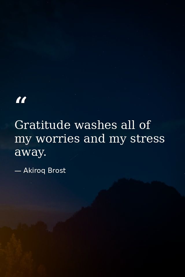 Gratitude washes all of my worries and my stress away. — Akiroq Brost