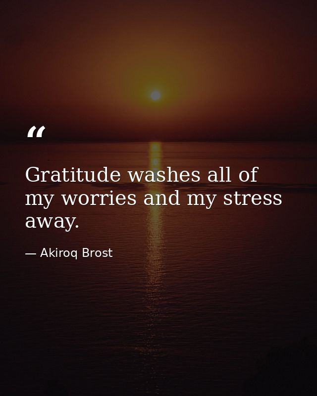 Gratitude washes all of my worries and my stress away. — Akiroq Brost
