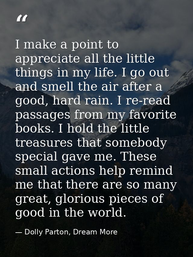 I make a point to appreciate all the little things in my life. I go out and smell the air after a good, hard rain. I re- — Dolly Parton, Dream More