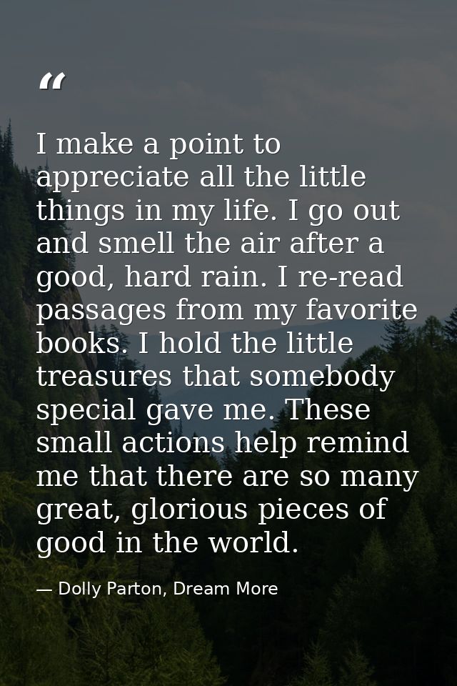 I make a point to appreciate all the little things in my life. I go out and smell the air after a good, hard rain. I re- — Dolly Parton, Dream More