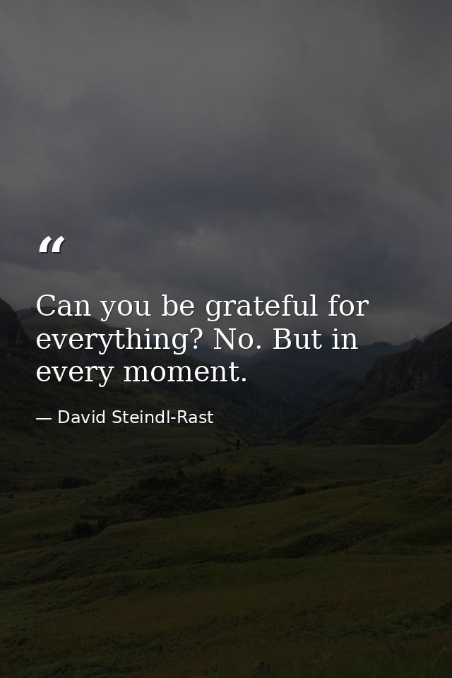 Can you be grateful for everything? No. But in every moment. — David Steindl-Rast
