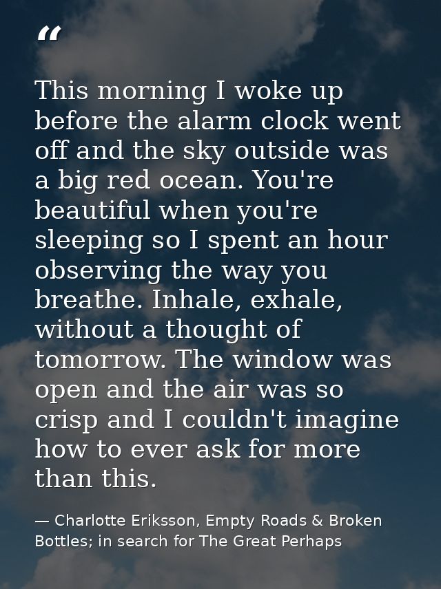 This morning I woke up before the alarm clock went off and the sky outside was a big red ocean. You're beautiful when yo — Charlotte Eriksson, Empty Roads & Broken Bottles; in search for The Great Perhaps