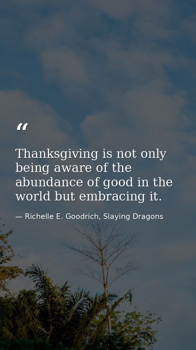 Thanksgiving is not only being aware of the abundance of good in the world but embracing it. — Richelle E. Goodrich, Slaying Dragons