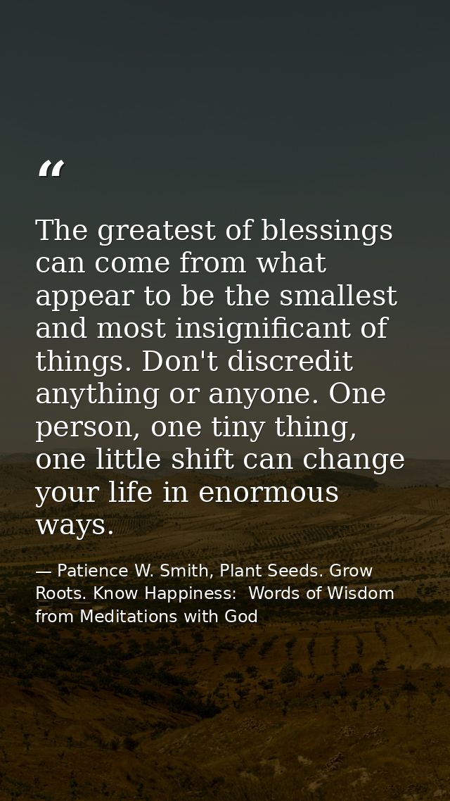 The greatest of blessings can come from what appear to be the smallest and most insignificant of things. Don't discredit — Patience W. Smith, Plant Seeds. Grow Roots. Know Happiness:  Words of Wisdom from Meditations with God